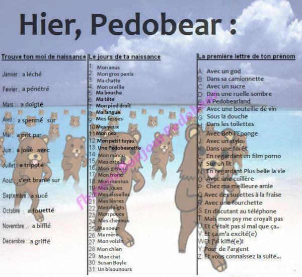 pedo bear - meme