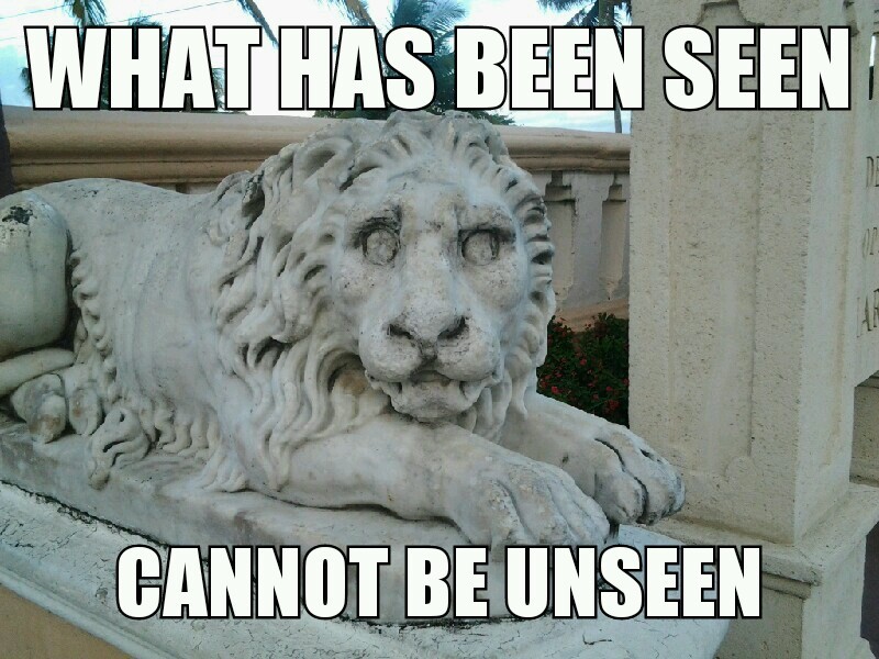 Puerto Rican lion, quien es de P.R?? :) - meme