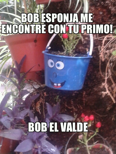 Bob el Valde - meme