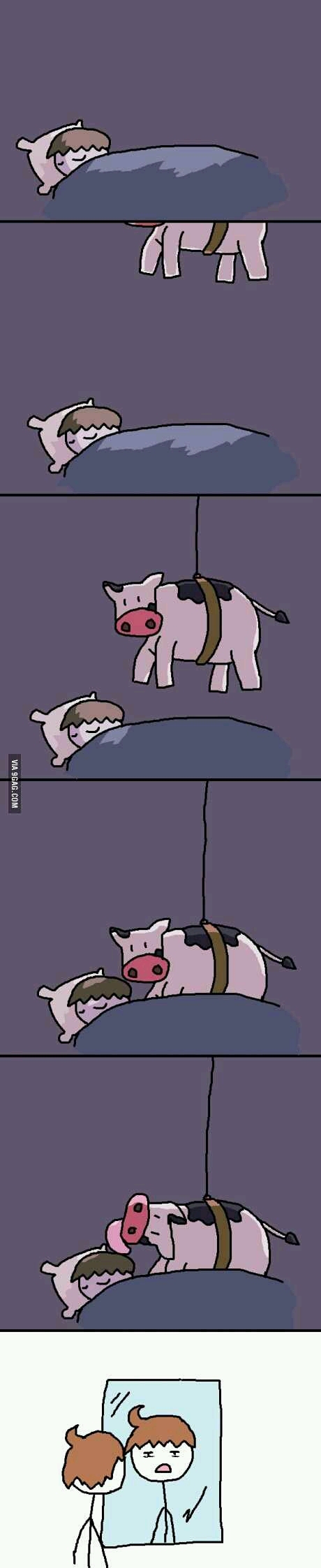 So the cow jumped over the moon, tied itself to it, then proceeded to lower itself to your room... - meme