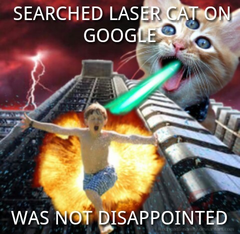Laser Cats - Meme by RT52 :) Memedroid