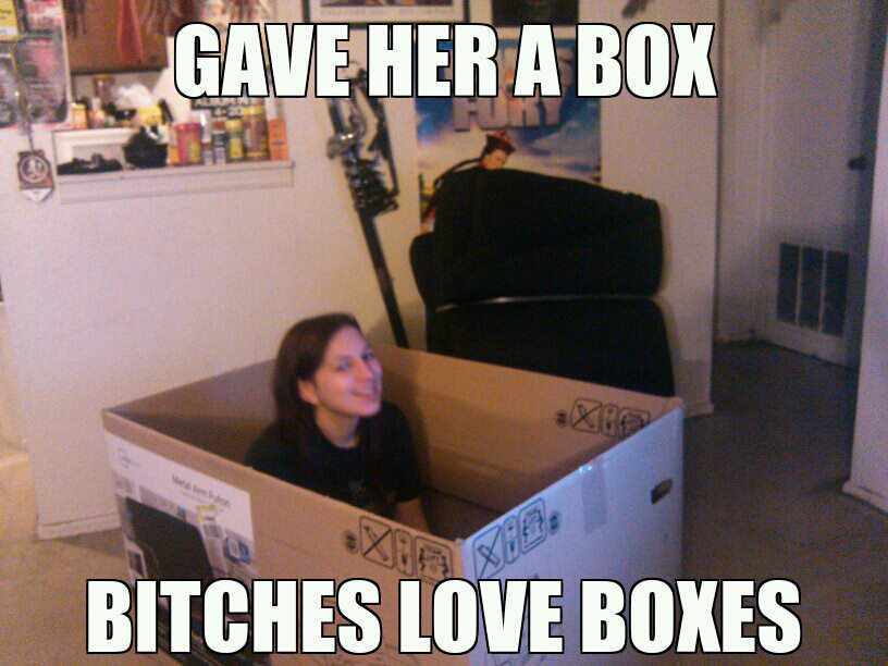 bitches love boxes - meme