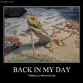 These lizards are the best
