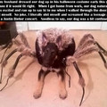 I would have freaked out