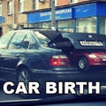 car given birth !!!?