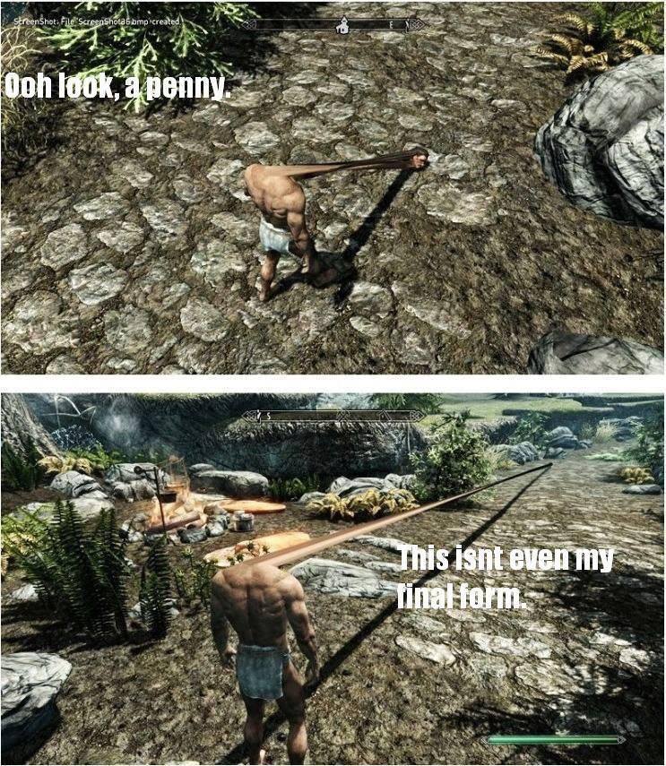 Skyrim meme