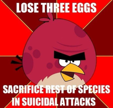 Angry birds logic - meme