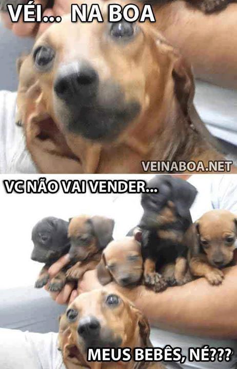 Véi Na Boa Você Não Vai Vender Os Meus Bebes Né Meme Subido Por