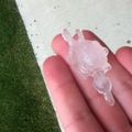 This is hail that looks like a duck