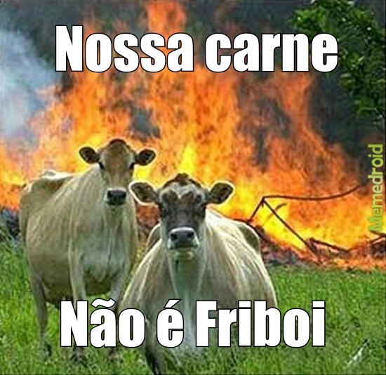 Friboi - _Clarinha_ - meme