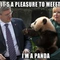 title=panda