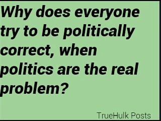 why try to be politically correct - meme