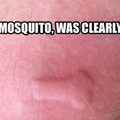 mosquito pranks