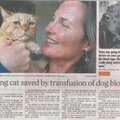 Dog saves cat