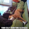 Silly furniture