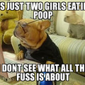 just poop