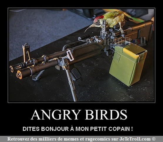 Angry Birds  - meme
