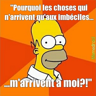 Homer conseil - meme