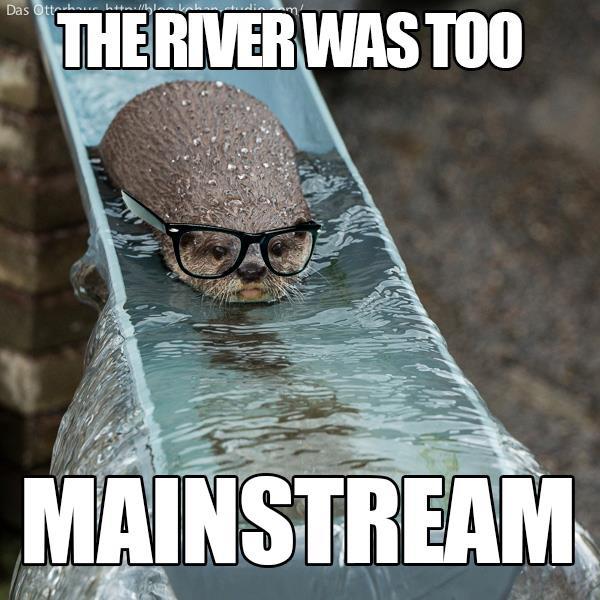 Less mainstream that otters... - meme