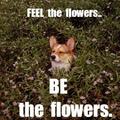 be the flowers