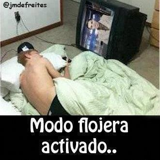 Flojera - meme