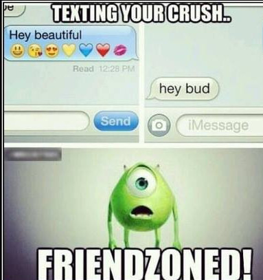 friend zoned - meme