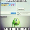 friend zoned