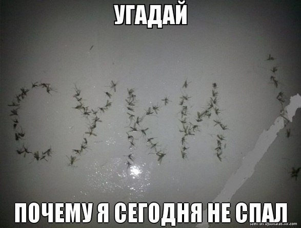 комары - meme