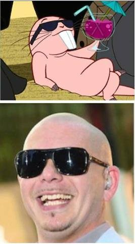 Pitbull loooool - meme