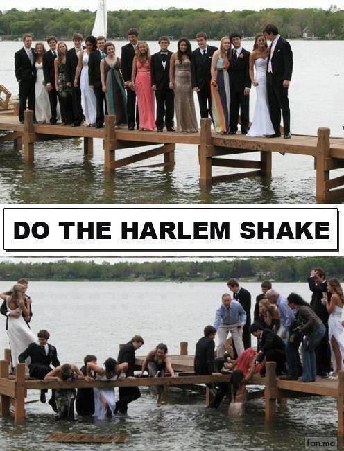 Harlem shake lol xD - meme