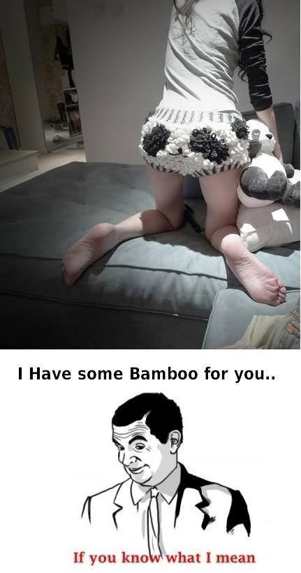 Bamboo - meme