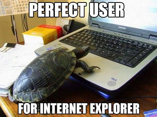 IE is too fast for this turtle....please slow it down - meme