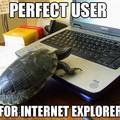 IE is too fast for this turtle....please slow it down