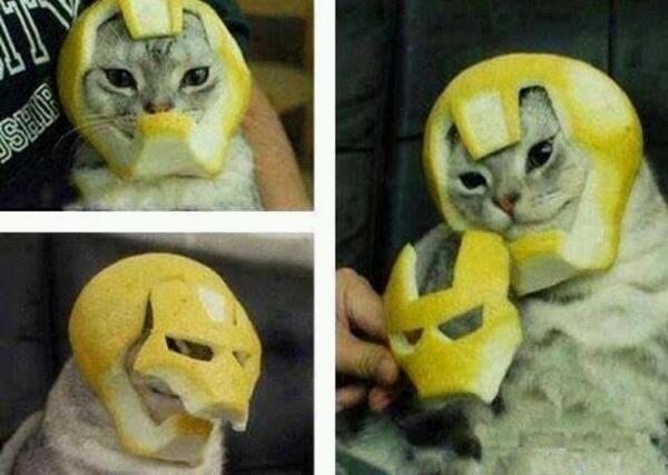It's a Fe-line.. get it? Fe is iron on the periodic table.. and its a cat.. wearing an Iron Man Mask.. Nevermind. - meme