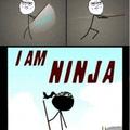 feel like a ninja