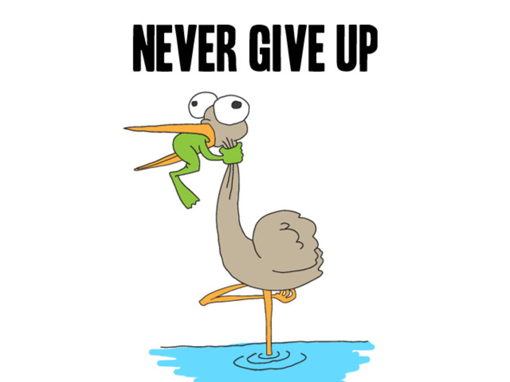 never give up - meme