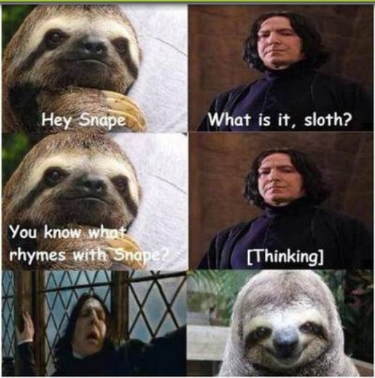 sloth - meme