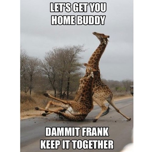 when going home from a party with a drunk buddy - meme