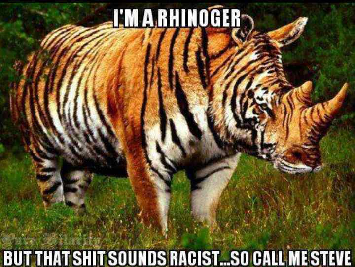 look its a rhinoger - meme