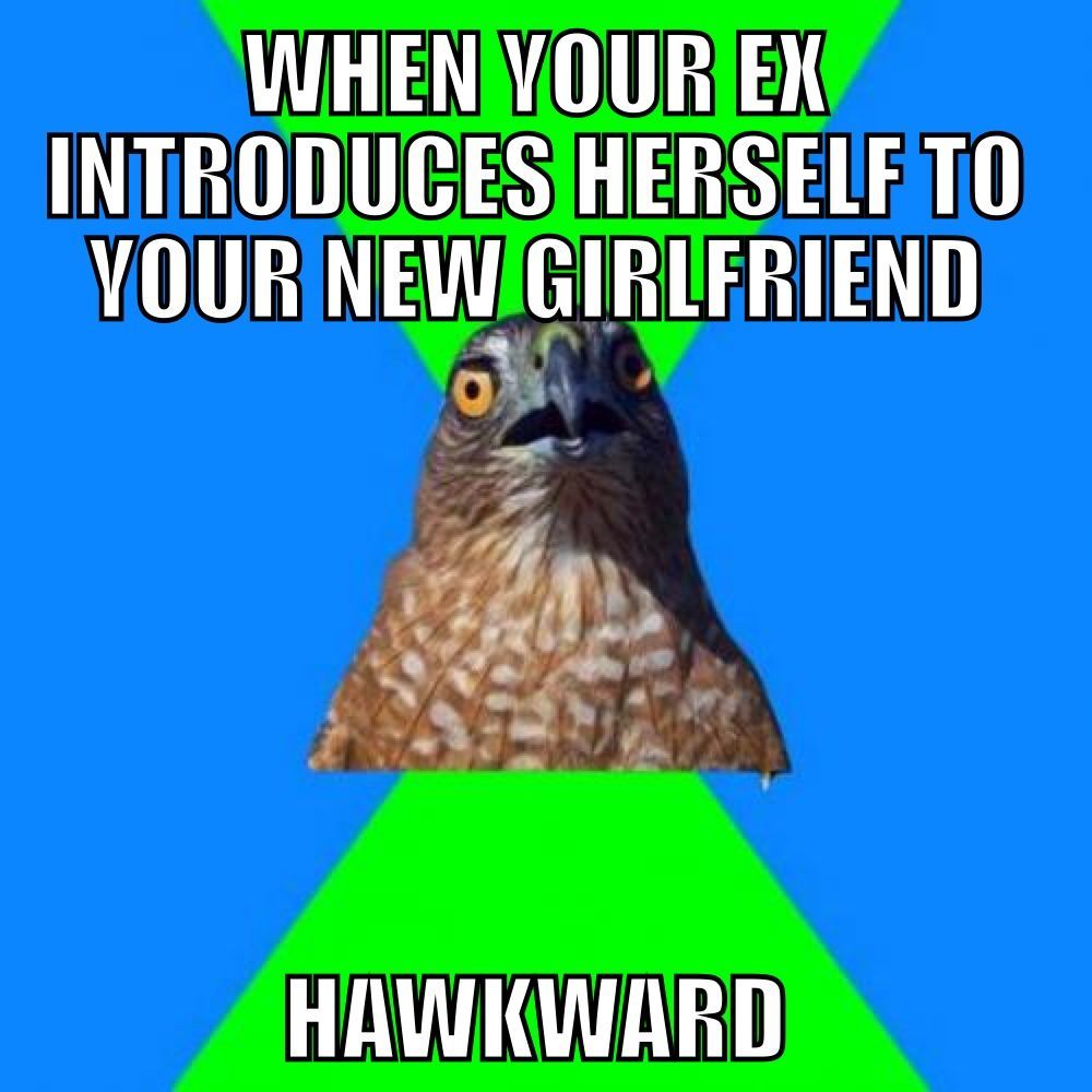 Happened today, hawkward! - meme