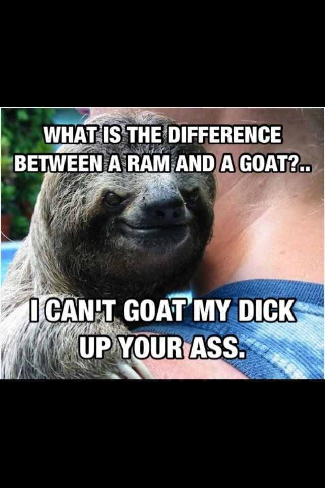 dirty sloth captions