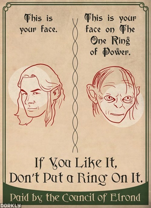 The Council of Elrond Approves - meme