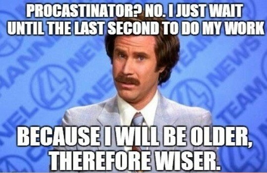 procrastinator - meme