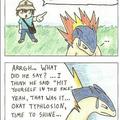 Typhlosion Swagger