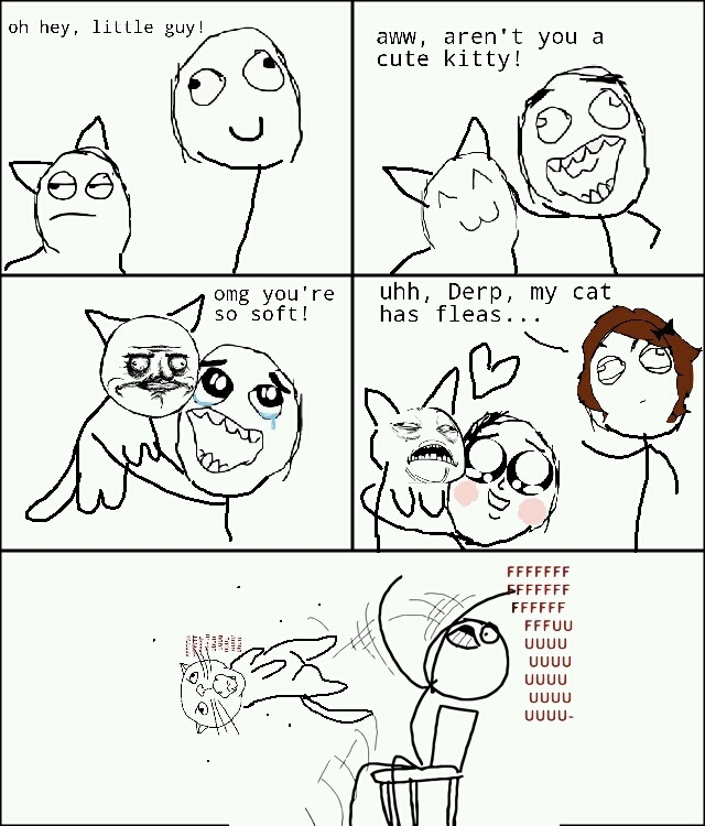My cats are scumbags like this - meme