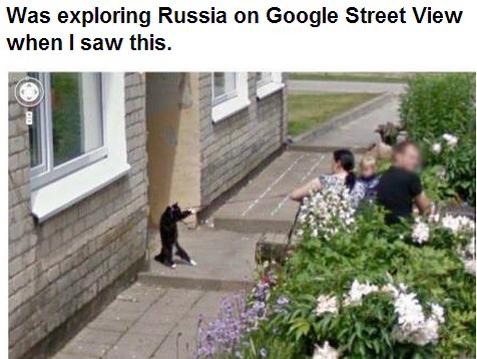 In Mother Russia Cat walks you-_- - meme