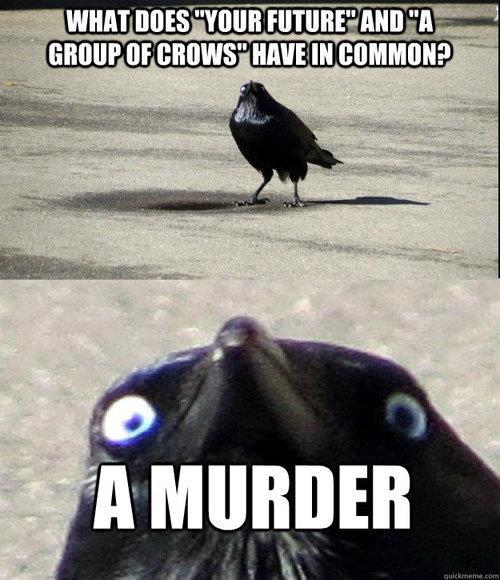 If the raven calls the crow black... - meme