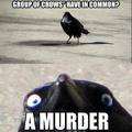 If the raven calls the crow black...