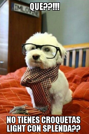 Perro hipster! - meme