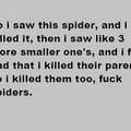 Fuck spiders 